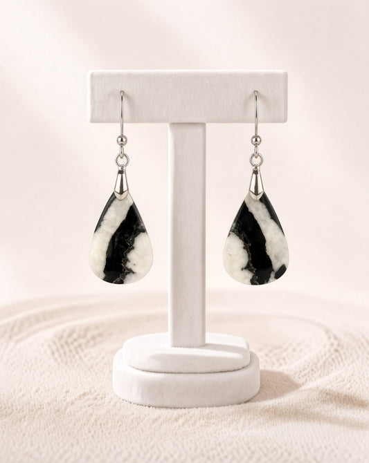 Zebra Jasper Earrings