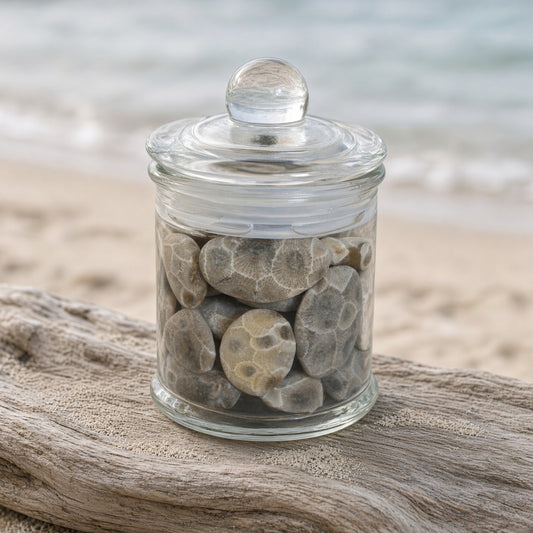 Petoskey Stone Gift Jar