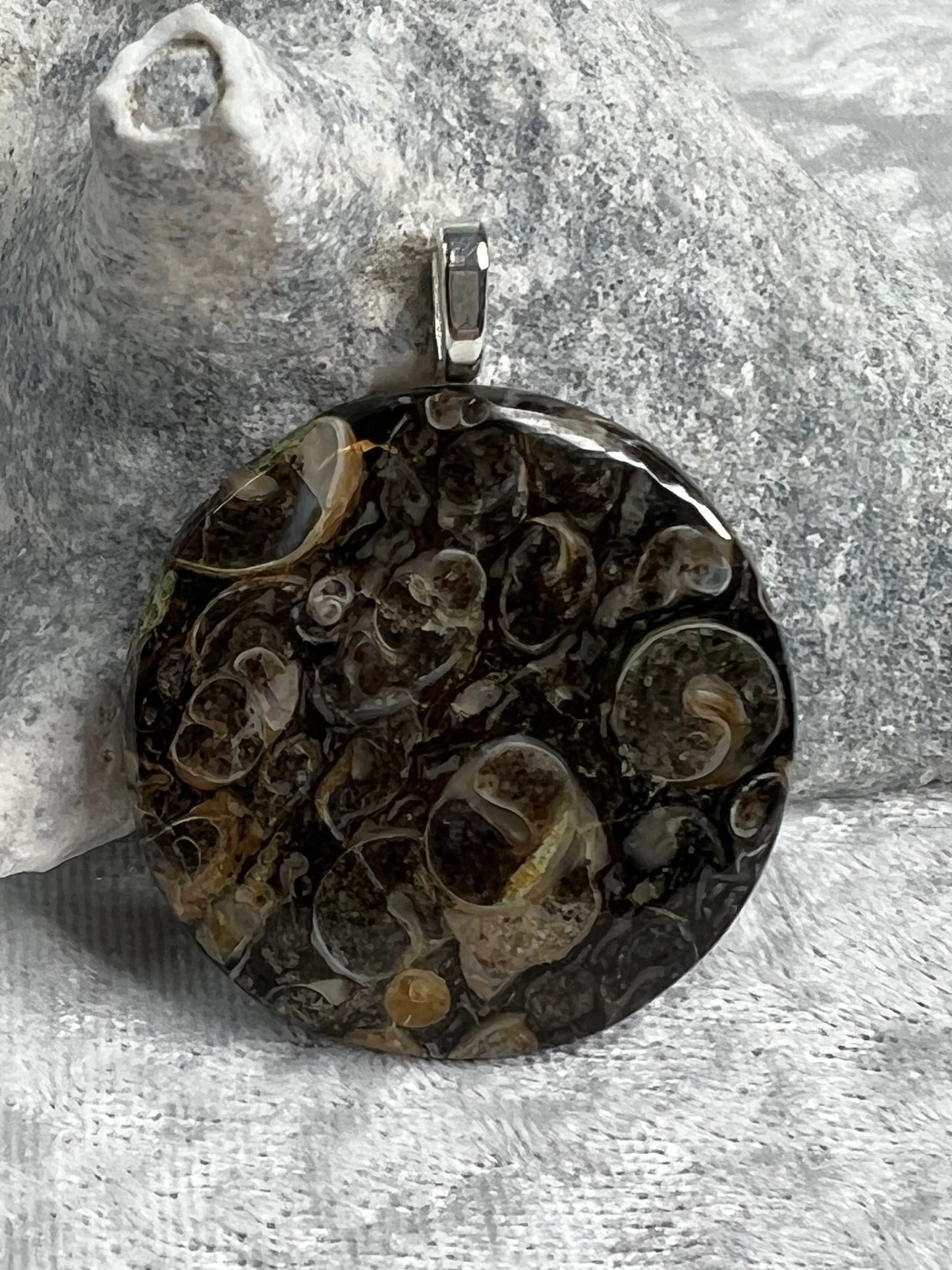 Turritella Pendant Necklace