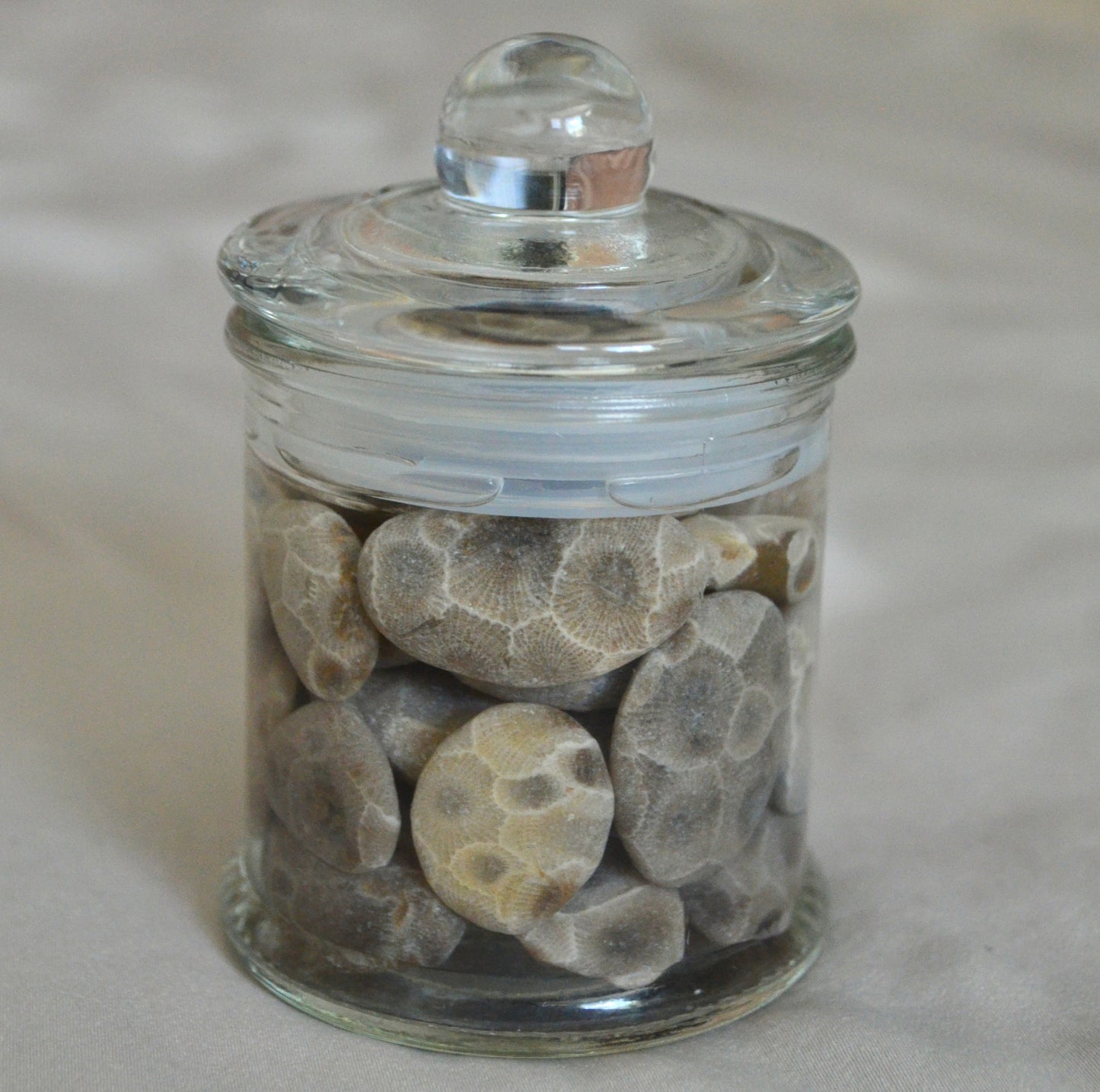 Petoskey Stone Gift Jar